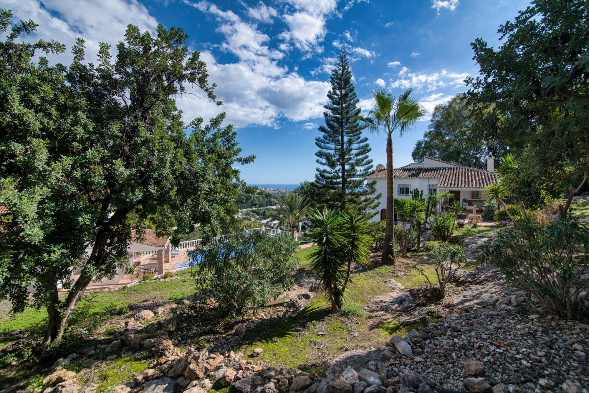 Villa Morera Bed & Breakfast Фригиляна Екстериор снимка