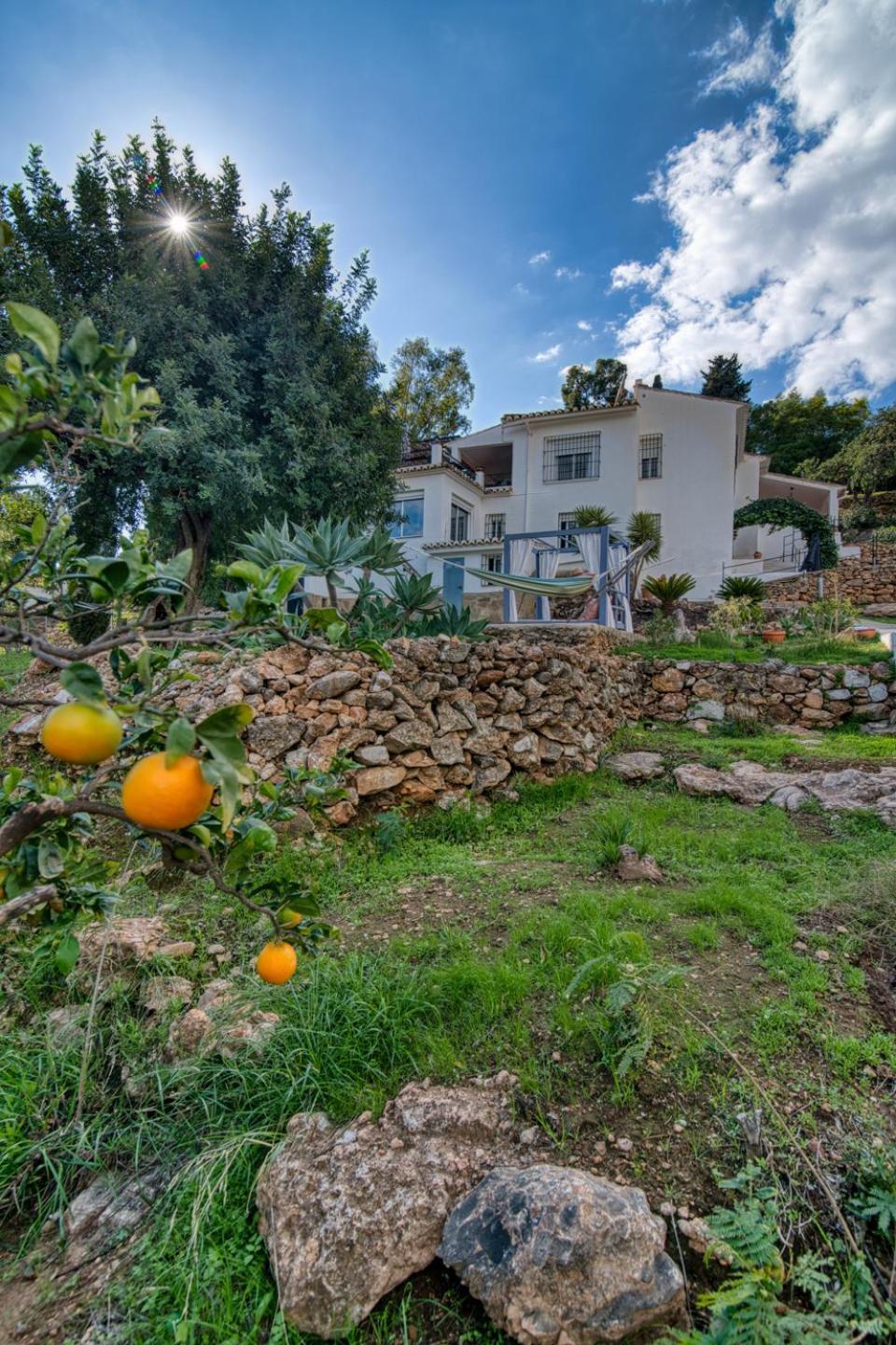 Villa Morera Bed & Breakfast Фригиляна Екстериор снимка